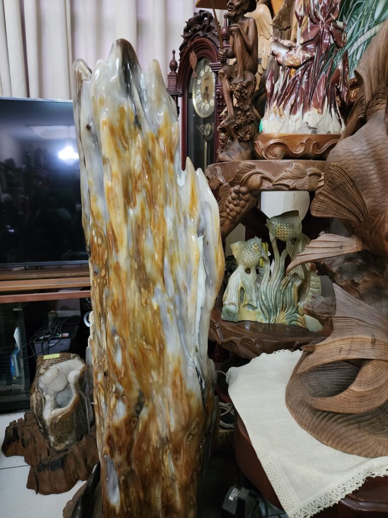 The Fossil World Stone of Banten: A Timeless Masterpiece of Nature